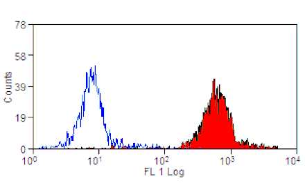 Flow Cytometry - Anti-CD45 Antibody [1.11.32] (A278918) - Antibodies.com