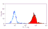 Flow Cytometry - Anti-CD45 Antibody [1.11.32] (A278918) - Antibodies.com