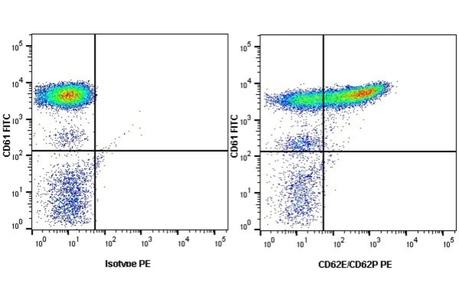 Flow Cytometry - Anti-CD62E + CD62P Antibody [1.2B6] (PE) (A278921) - Antibodies.com