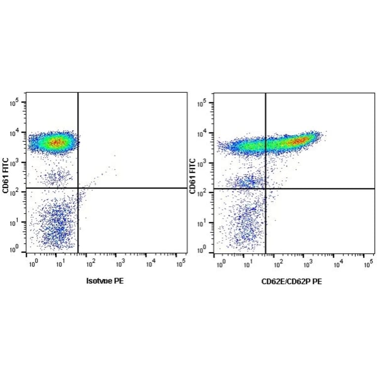 Flow Cytometry - Anti-CD62E + CD62P Antibody [1.2B6] (PE) (A278921) - Antibodies.com