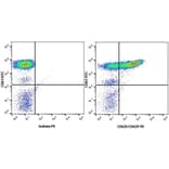 Flow Cytometry - Anti-CD62E + CD62P Antibody [1.2B6] (PE) (A278921) - Antibodies.com