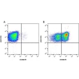 Flow Cytometry - Anti-VCAM1 Antibody [1.G11B1] (PE) (A278927) - Antibodies.com