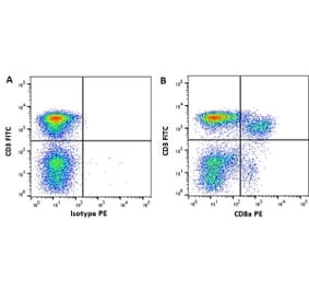 Flow Cytometry - Anti-CD8 alpha Antibody [11/295/33] (PE) (A278955) - Antibodies.com