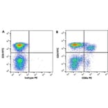Flow Cytometry - Anti-CD8 alpha Antibody [11/295/33] (PE) (A278955) - Antibodies.com