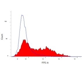 Flow Cytometry - Anti-CD52 Antibody [11/305/44] (FITC) (A278957) - Antibodies.com