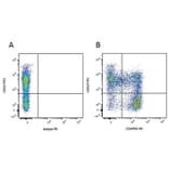 Flow Cytometry - Anti-CD52 Antibody [11/305/44] (FITC) (A278957) - Antibodies.com