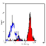 Flow Cytometry - Anti-CD151 Antibody [11G5a] (A278972) - Antibodies.com