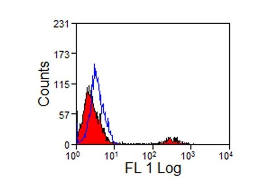 Immunohistochemistry - Anti-CD8 Antibody [12.C7] (A278978) - Antibodies.com
