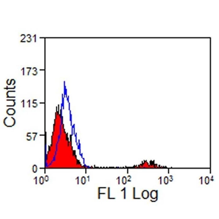 Immunohistochemistry - Anti-CD8 Antibody [12.C7] (A278978) - Antibodies.com