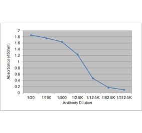 ELISA - Anti-Cortisol Antibody [137.2A7] (A279005) - Antibodies.com