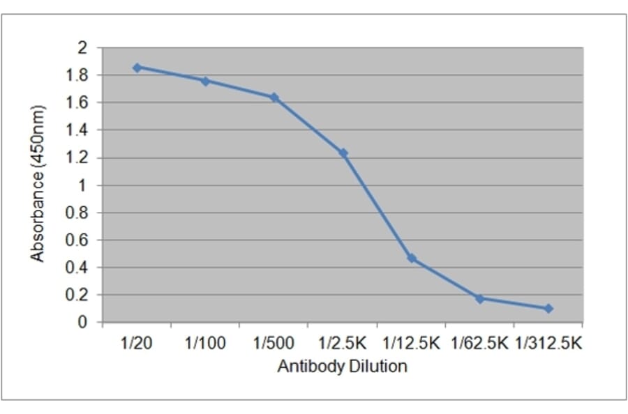 ELISA - Anti-Cortisol Antibody [137.2A7] (A279005) - Antibodies.com