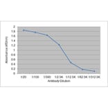 ELISA - Anti-Cortisol Antibody [137.2A7] (A279005) - Antibodies.com
