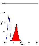 Flow Cytometry - Anti-Fas Ligand Antibody [14C2] (A279020) - Antibodies.com