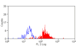 Flow Cytometry - Anti-SIRP alpha Antibody [15-414] (PE) (A279024) - Antibodies.com