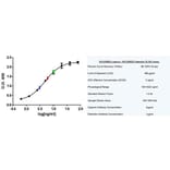 ELISA - Anti-C Reactive Protein Antibody [160.7A5] (A279035) - Antibodies.com