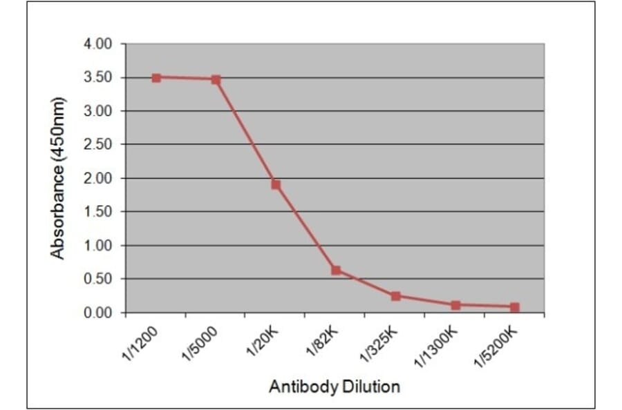 ELISA - Anti-Luteinizing Hormone Antibody [176.8G2] (A279048) - Antibodies.com