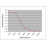 ELISA - Anti-Luteinizing Hormone Antibody [176.8G2] (A279048) - Antibodies.com