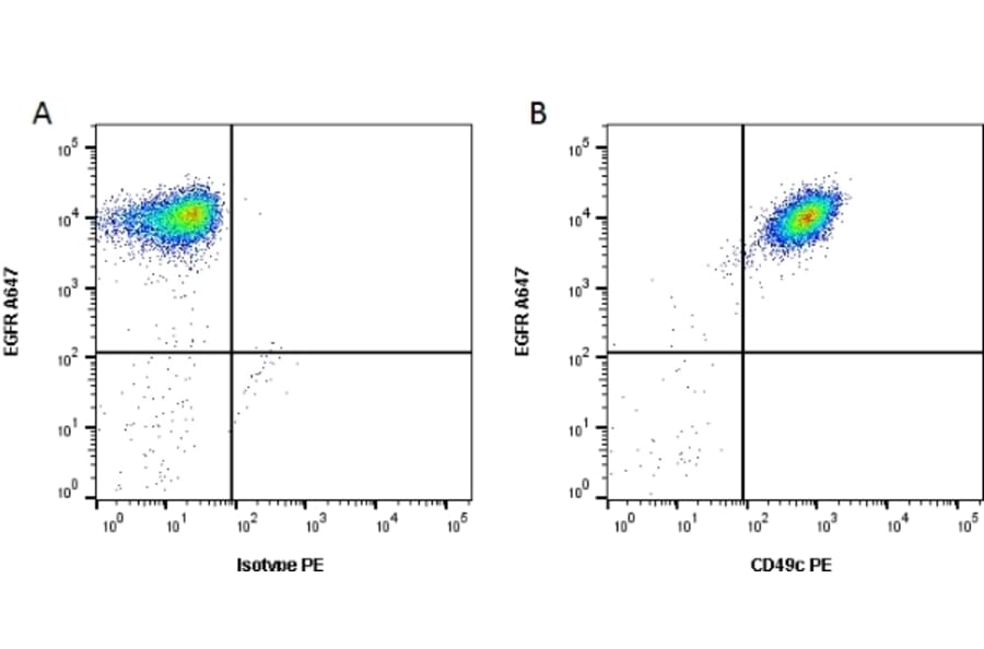 Flow Cytometry - Anti-Integrin alpha 3 Antibody [17C6] (PE) (A279054) - Antibodies.com