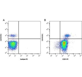 Flow Cytometry - Anti-CD81 Antibody [1D6] (PE) (A279096) - Antibodies.com