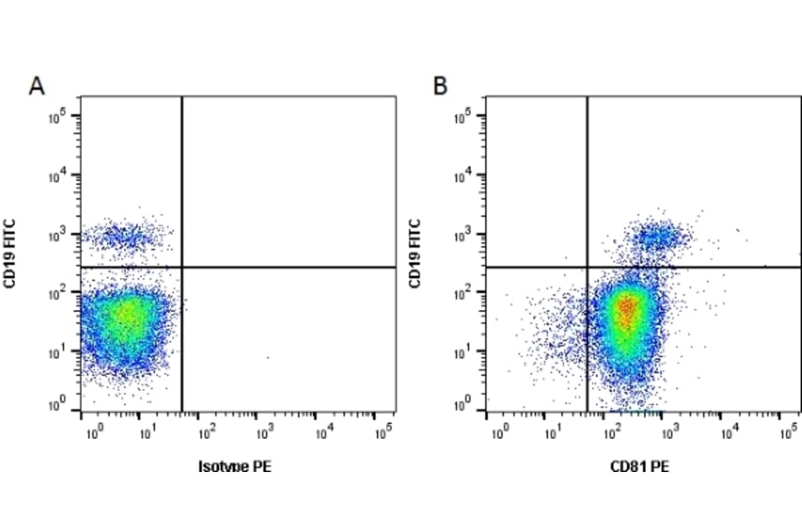 Flow Cytometry - Anti-CD81 Antibody [1D6] (PE) (A279096) - Antibodies.com
