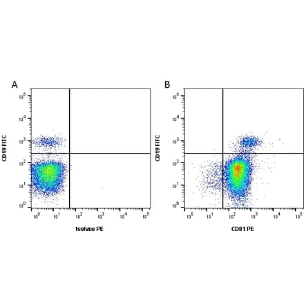 Flow Cytometry - Anti-CD81 Antibody [1D6] (PE) (A279096) - Antibodies.com