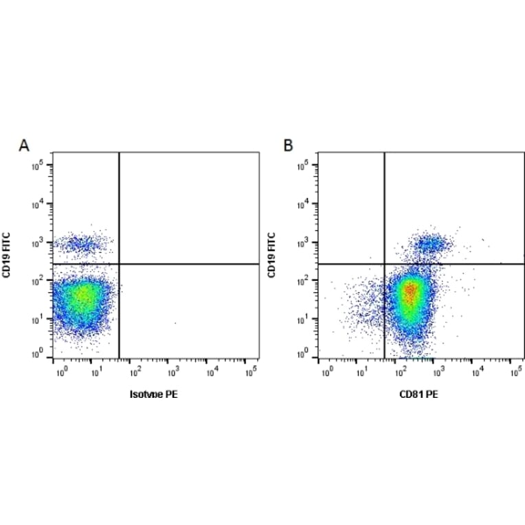 Flow Cytometry - Anti-CD81 Antibody [1D6] (PE) (A279096) - Antibodies.com