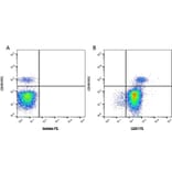 Flow Cytometry - Anti-CD81 Antibody [1D6] (PE) (A279096) - Antibodies.com