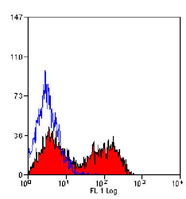 Flow Cytometry - Anti-CD5 Antibody [1H6/8] (FITC) (A279115) - Antibodies.com