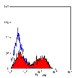 Flow Cytometry - Anti-CD5 Antibody [1H6/8] (FITC) (A279115) - Antibodies.com