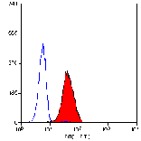 Flow Cytometry - Anti-Leukotriene B4 Receptor / BLT Antibody [202/7B1] (A279128) - Antibodies.com