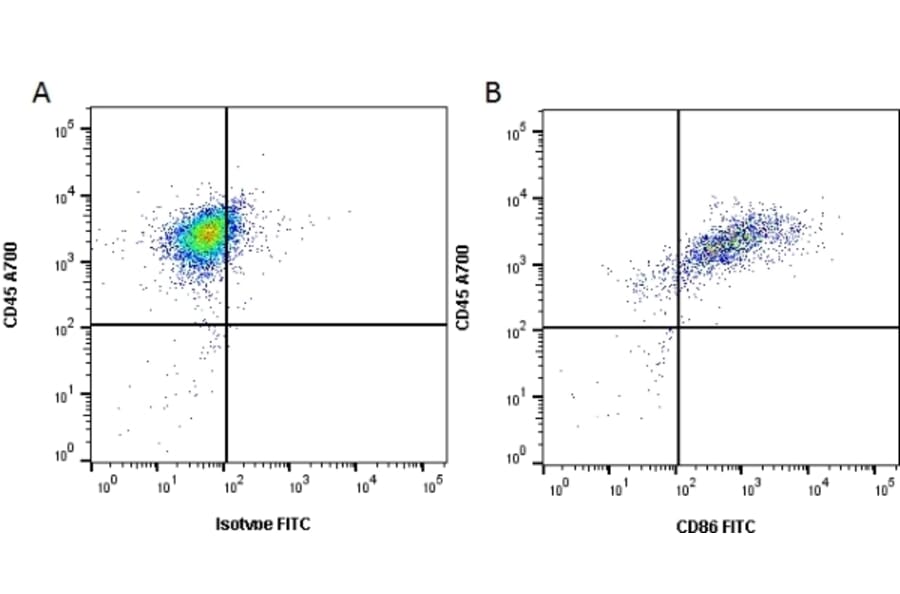 Flow Cytometry - Anti-CD86 Antibody [24F] (FITC) (A279142) - Antibodies.com