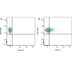 Flow Cytometry - Anti-CD86 Antibody [24F] (PE) (A279143) - Antibodies.com