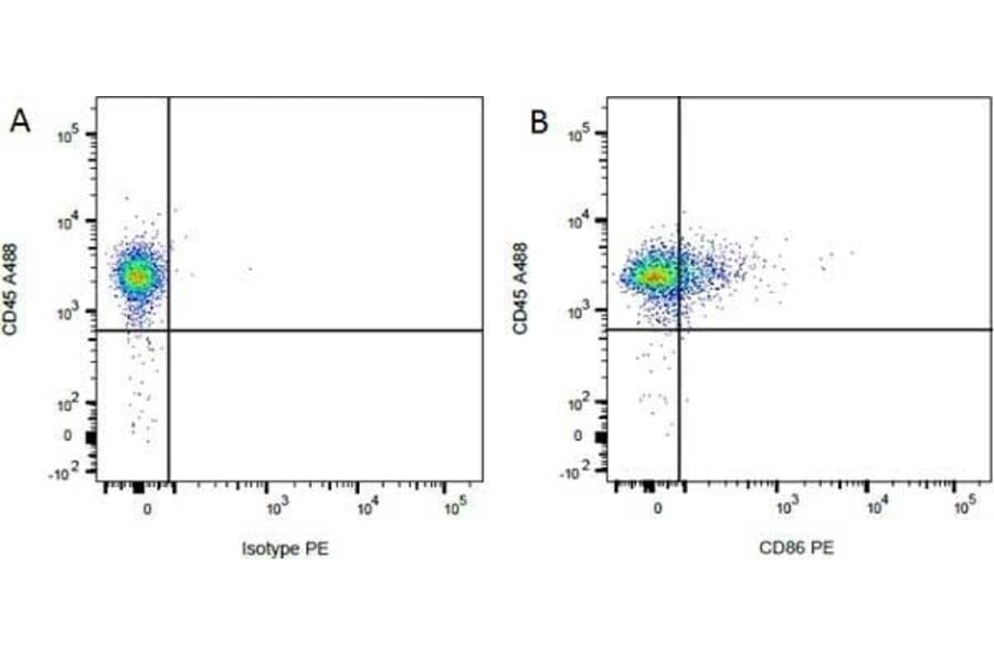 Flow Cytometry - Anti-CD86 Antibody [24F] (PE) (A279143) - Antibodies.com