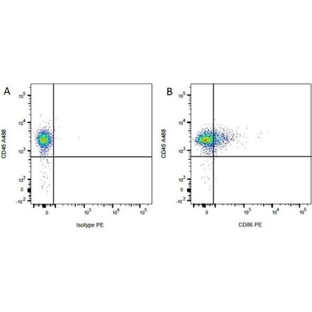 Flow Cytometry - Anti-CD86 Antibody [24F] (PE) (A279143) - Antibodies.com