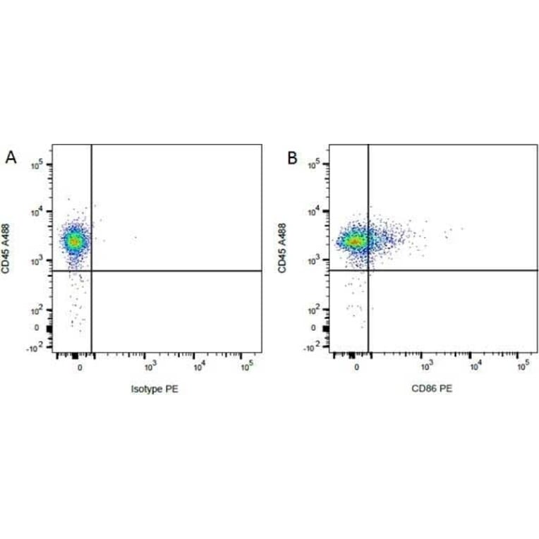 Flow Cytometry - Anti-CD86 Antibody [24F] (PE) (A279143) - Antibodies.com