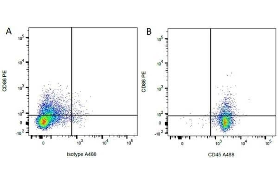 Flow Cytometry - Anti-CD86 Antibody [24F] (PE) (A279143) - Antibodies.com