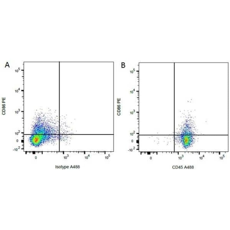Flow Cytometry - Anti-CD86 Antibody [24F] (PE) (A279143) - Antibodies.com