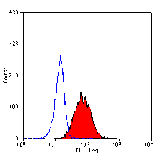 Flow Cytometry - Anti-EMR2 Antibody [2A1] (A279157) - Antibodies.com