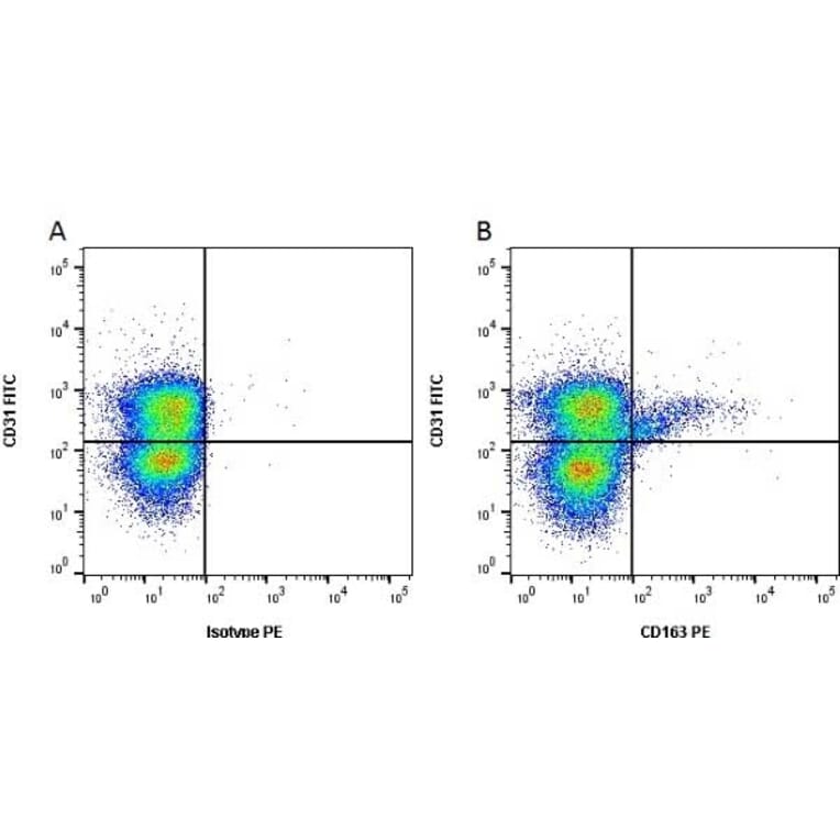Flow Cytometry - Anti-CD163 Antibody [2A10/11] (PE) (A279160) - Antibodies.com