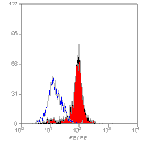 Flow Cytometry - Anti-Dectin-1 Antibody [2A11] (Biotin) (A279162) - Antibodies.com