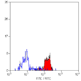 Flow Cytometry - Anti-Dectin-1 Antibody [2A11] - BSA and Azide free (A279171) - Antibodies.com
