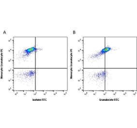 Flow Cytometry - Anti-Granulocytes Antibody [2B2] (FITC) (A279181) - Antibodies.com
