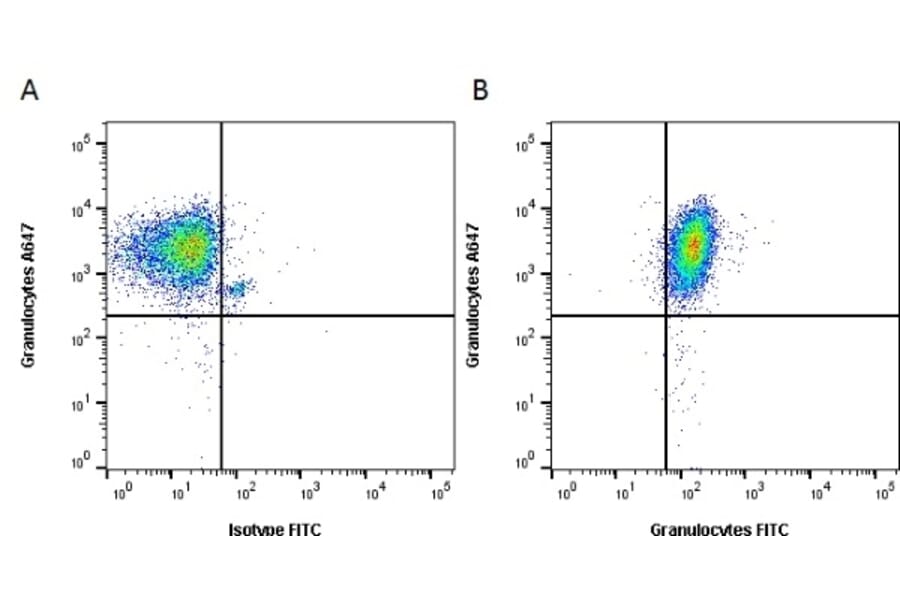 Flow Cytometry - Anti-Granulocytes Antibody [2B2] (A279182) - Antibodies.com