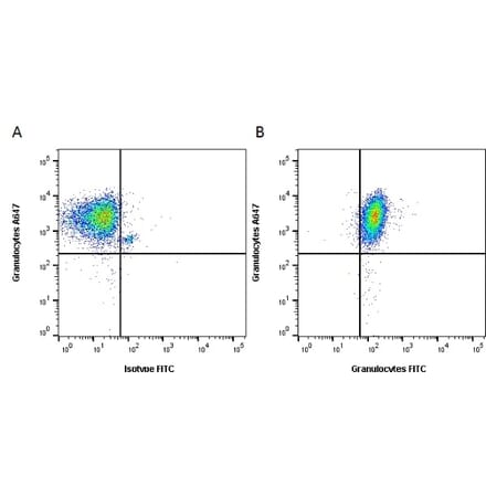 Flow Cytometry - Anti-Granulocytes Antibody [2B2] (A279182) - Antibodies.com
