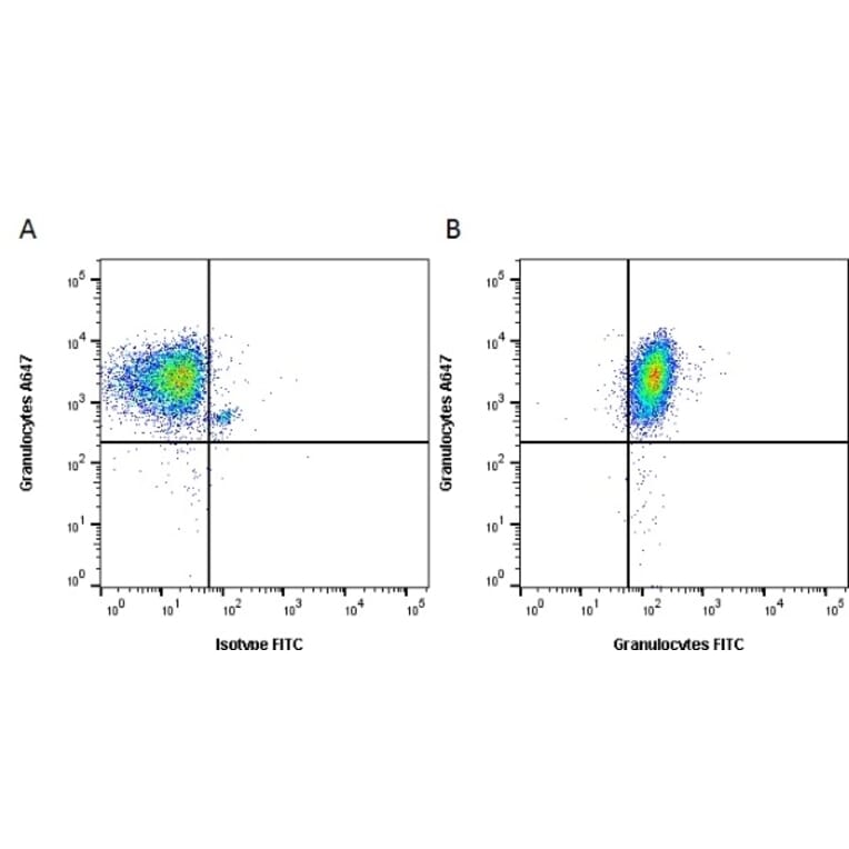 Flow Cytometry - Anti-Granulocytes Antibody [2B2] (A279182) - Antibodies.com