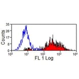 Immunohistochemistry - Anti-SLA Class II DR Antibody [2E9/13] (A279210) - Antibodies.com