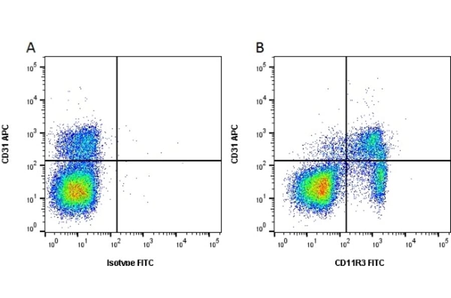 Flow Cytometry - Anti-CD11R3 Antibody [2F4/11] (FITC) (A279211) - Antibodies.com
