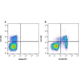 Flow Cytometry - Anti-CD11R3 Antibody [2F4/11] (FITC) (A279211) - Antibodies.com