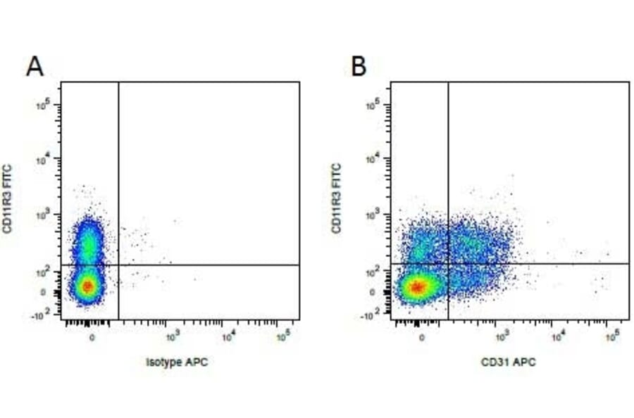 Flow Cytometry - Anti-CD11R3 Antibody [2F4/11] (FITC) (A279211) - Antibodies.com