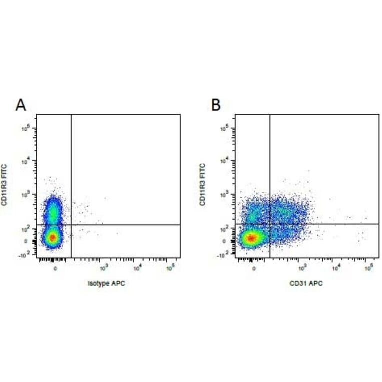 Flow Cytometry - Anti-CD11R3 Antibody [2F4/11] (FITC) (A279211) - Antibodies.com